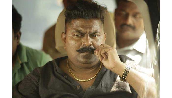 mysskin