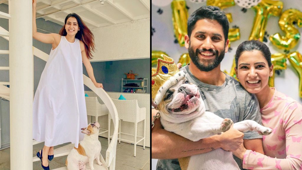 Samantha-Akkineni-and-Naga-Chaitanya-home