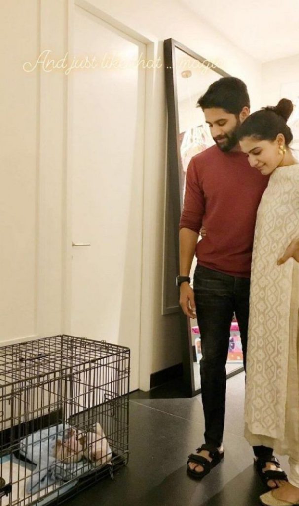 Samantha-Akkineni-and-Naga-Chaitanya-home