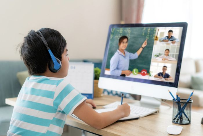 student-video-conference-learning
