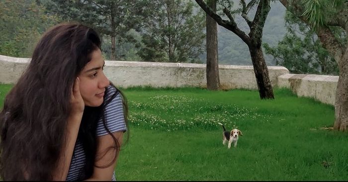 saipallavi.senthamarai