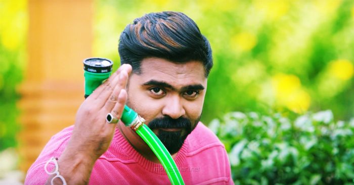 simbu