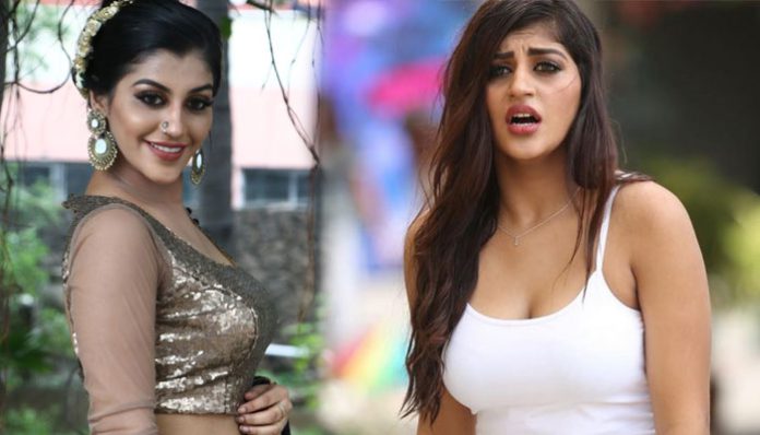 yashika-