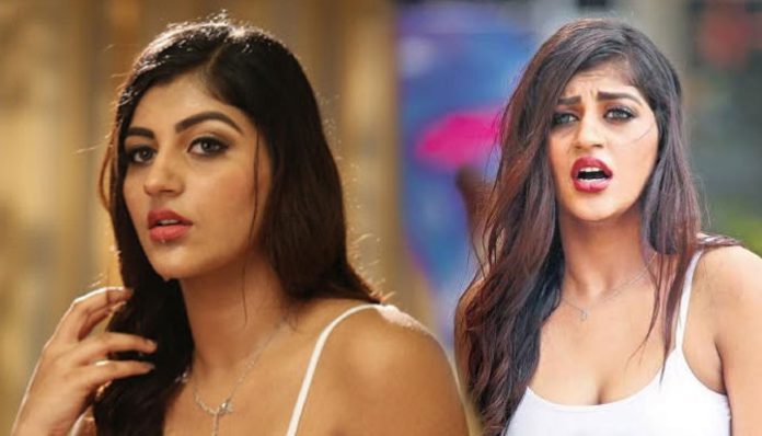 yashika-