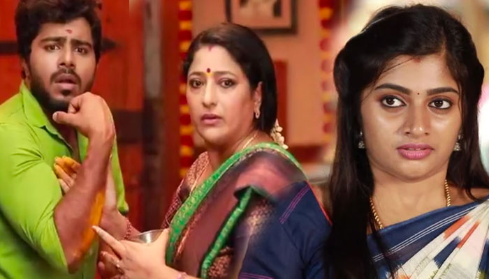 raja-rani-serial-2