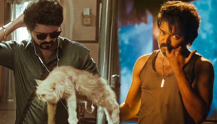 vijay