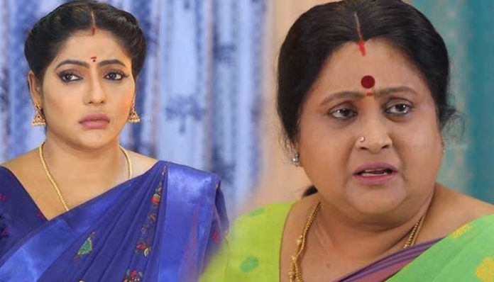 baakiya-lakshmi-12