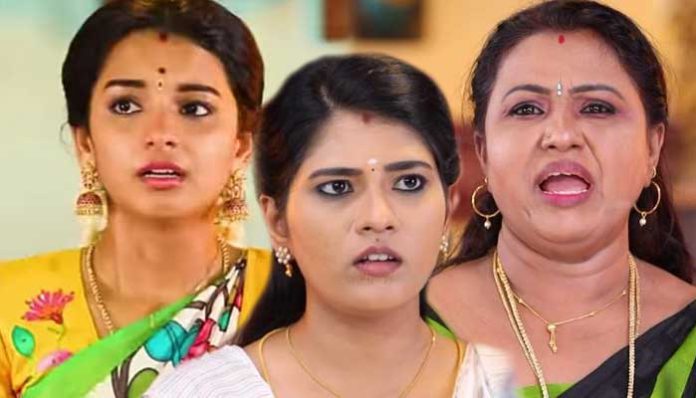 pandiyan-stores-27