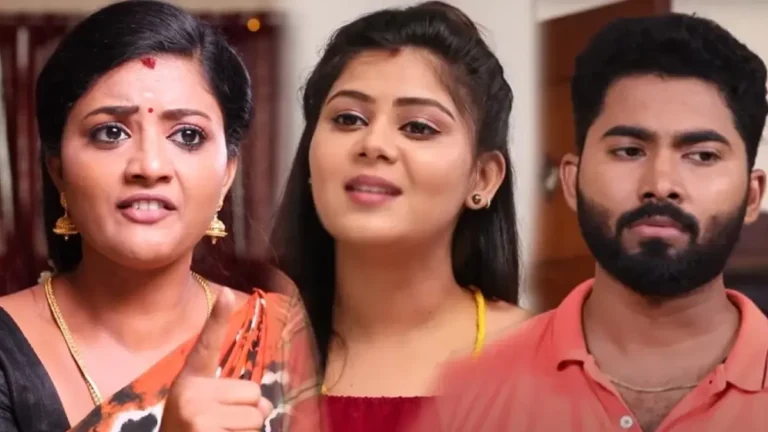Siragadikka Aasai today episode November 28