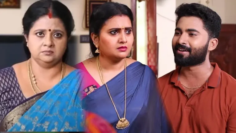 Siragadikka Aasai today episode November 30